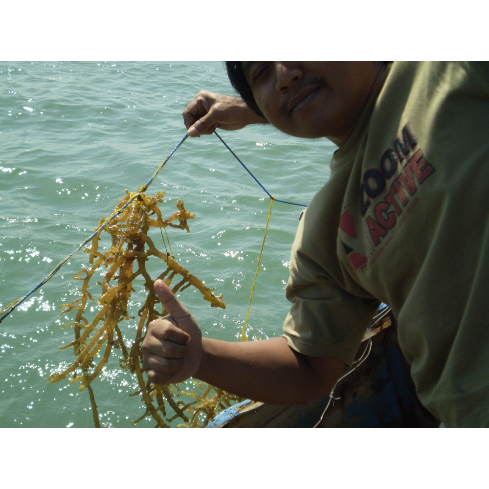 擁有自有菌種，品質才能穩定。