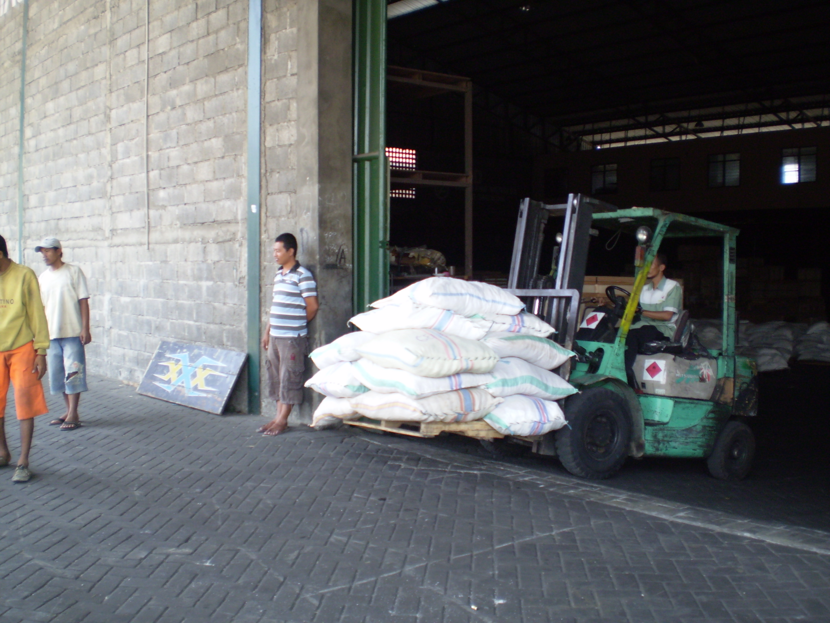 採收好的褐藻搬入倉庫