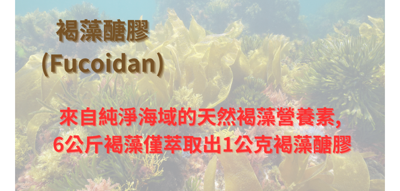 褐藻醣膠.png 褐藻醣膠.png